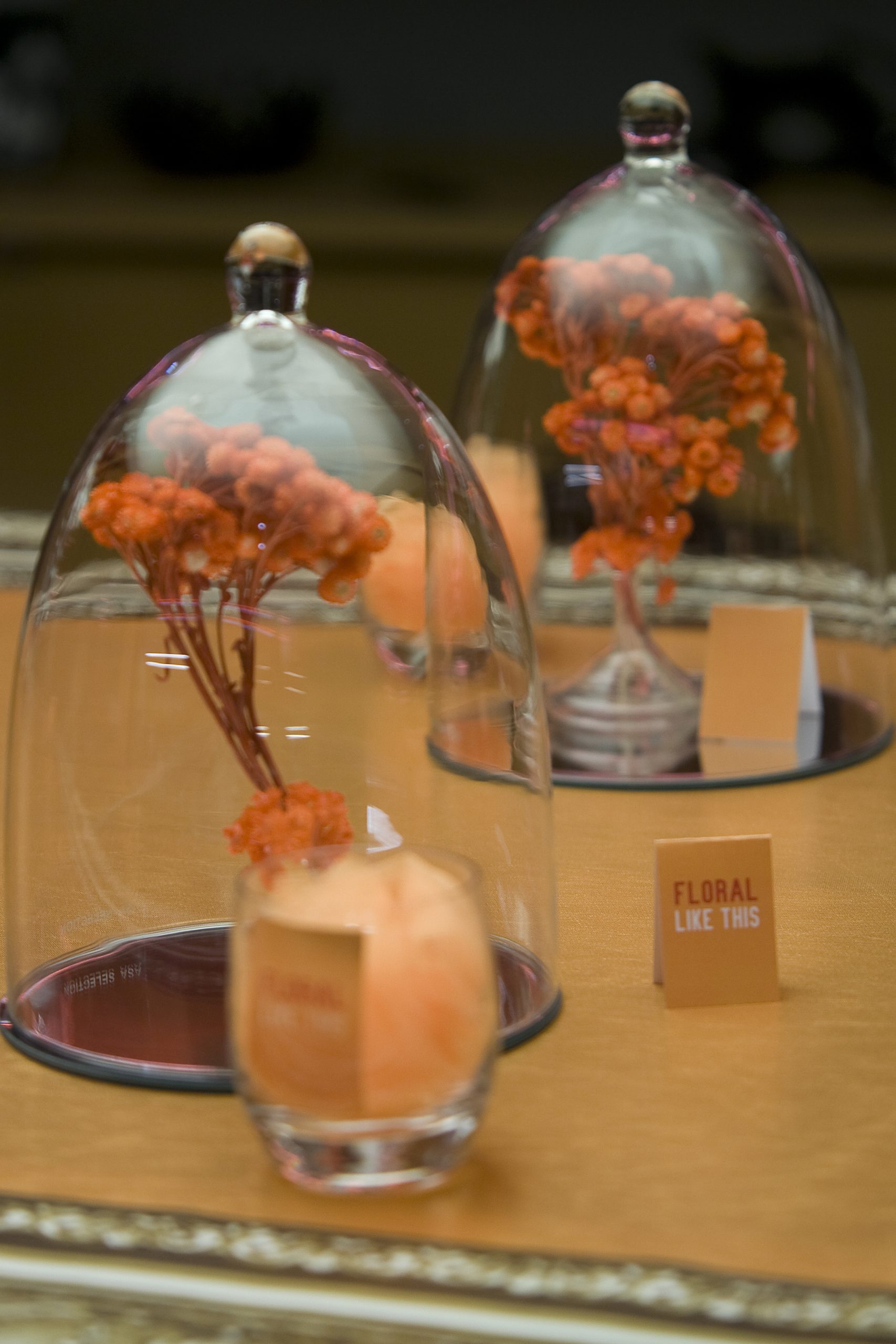 Illustration pour Lancement de produit